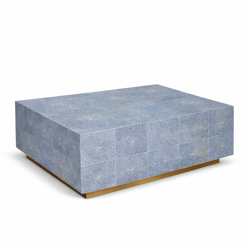 Block Shagreen Coffee Table