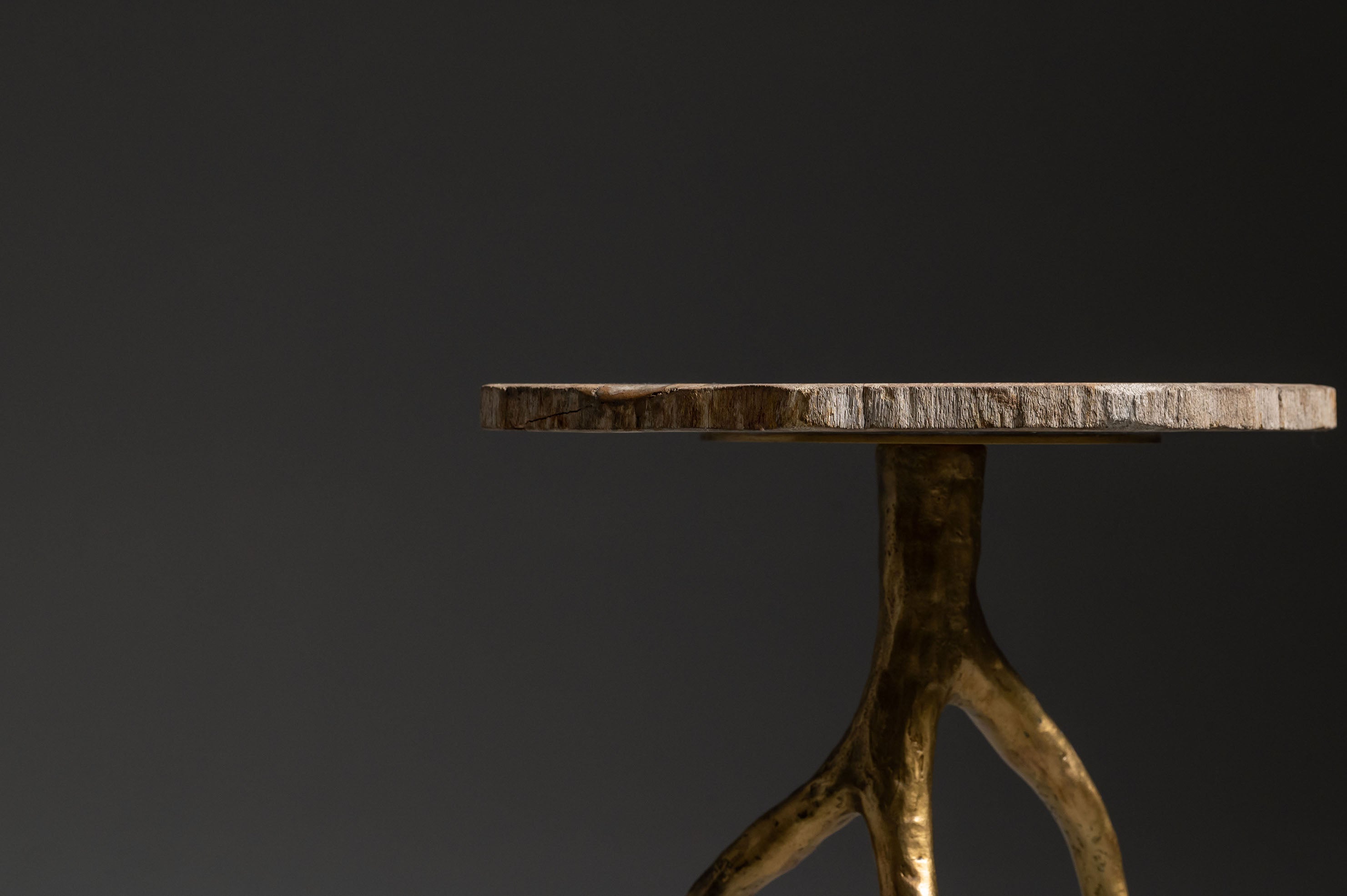 EARTH SIDE TABLE