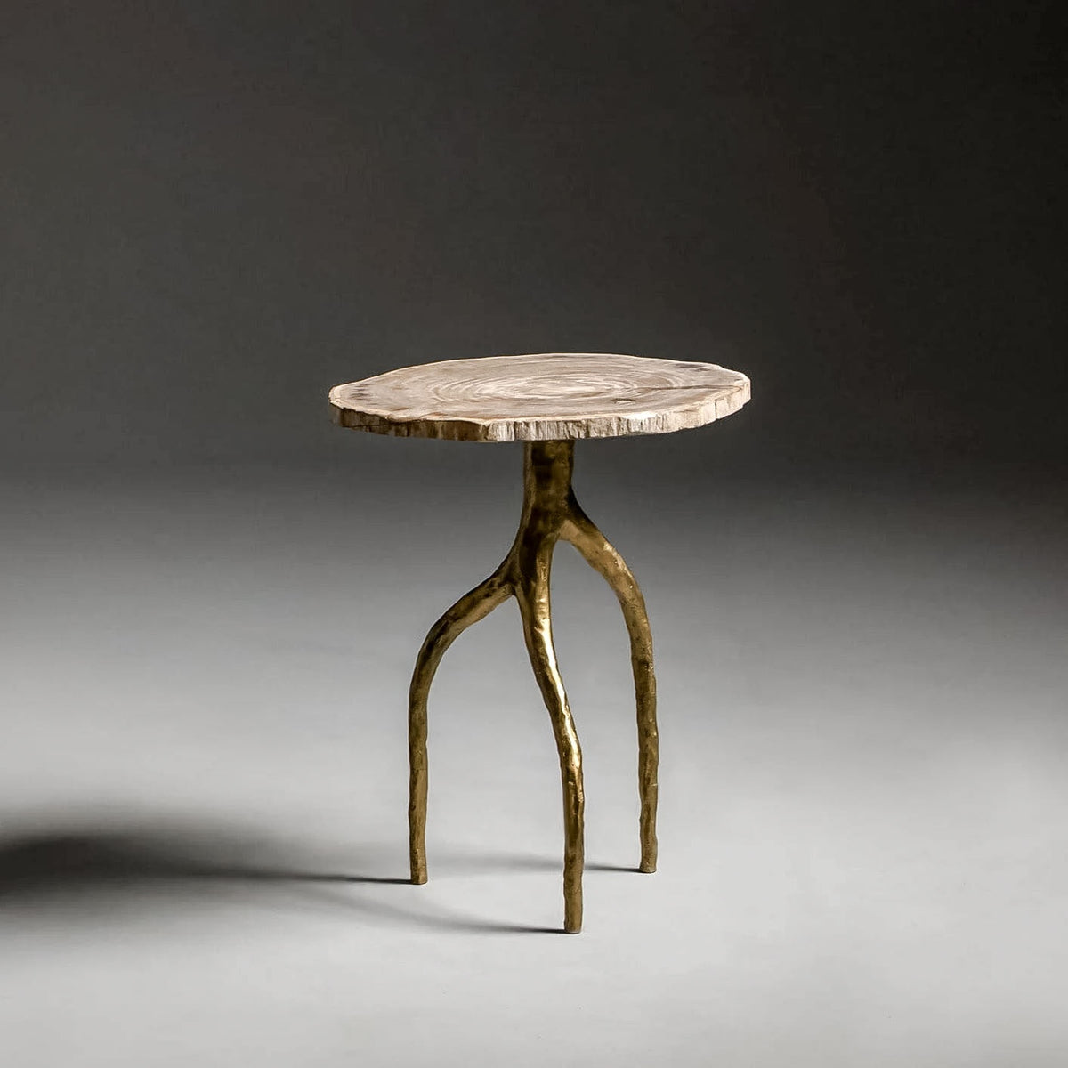 Earth Side Table by Noto Atelier, old gold bronze, petrified wood