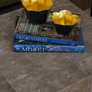 Block Shagreen Coffee Table