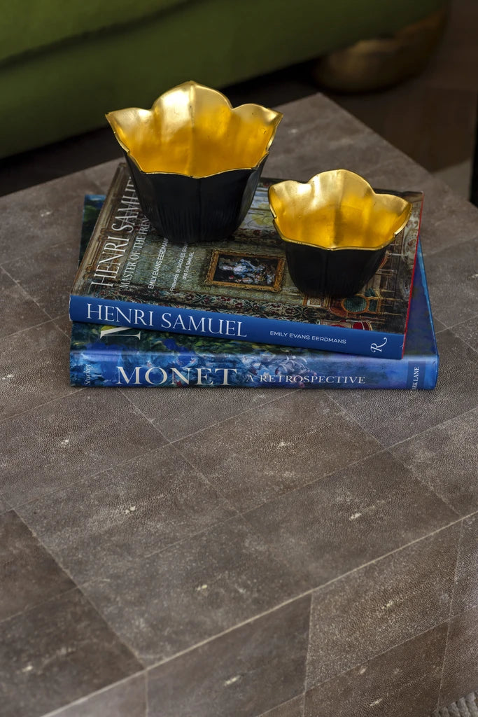 Block Shagreen Coffee Table