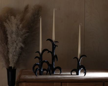 ORCHID CANDLE STAND
